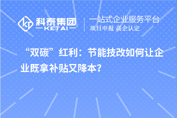 “雙碳”紅利：節(jié)能技改如何讓企業(yè)既拿補貼又降本？