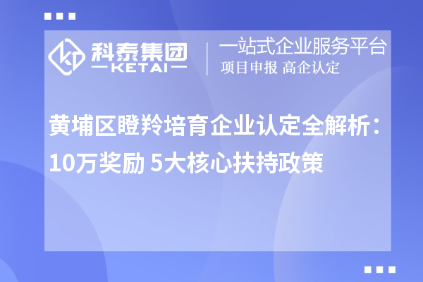 黃埔區瞪羚培育企業認定全解析：10萬獎勵+5大核心扶持政策