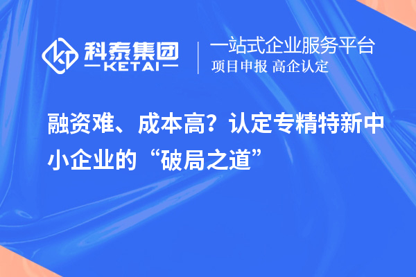 融資難、成本高?認(rèn)定專精特新中小企業(yè)的“破局之道”