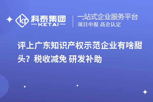 評上廣東知識產權示范企業有啥甜頭?稅收減免+研發補助