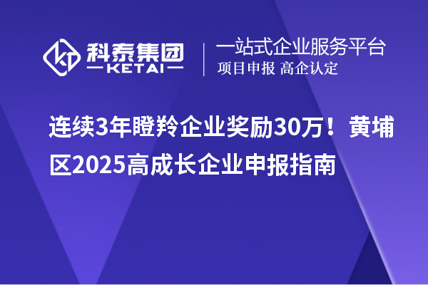 連續(xù)3年瞪羚企業(yè)獎(jiǎng)勵(lì)30萬(wàn)！黃埔區(qū)2025高成長(zhǎng)企業(yè)申報(bào)指南