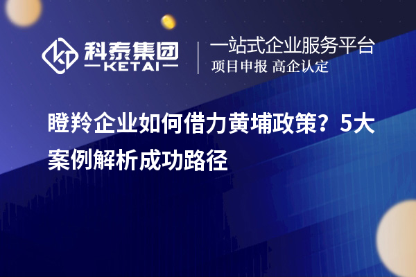 瞪羚企業如何借力黃埔政策?5大案例解析成功路徑