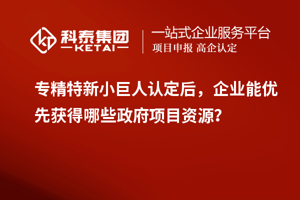 專精特新小巨人認定后,企業(yè)能優(yōu)先獲得哪些政府項目資源?