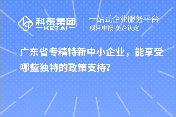 廣東省專精特新中小企業(yè),能享受哪些獨特的政策支持?