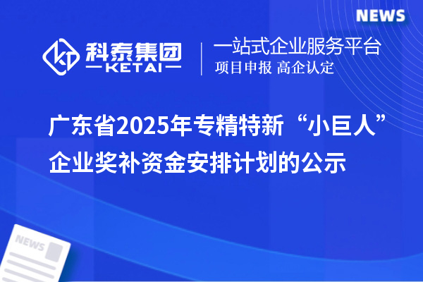 廣東省2025年專精特新“小巨人”企業(yè)獎(jiǎng)補(bǔ)資金安排計(jì)劃的公示