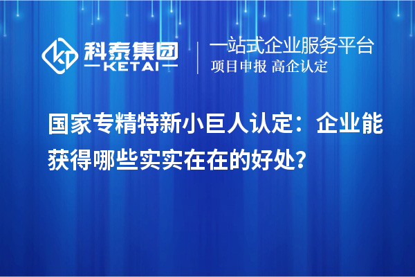 國家專精特新小巨人認(rèn)定:企業(yè)能獲得哪些實實在在的好處?