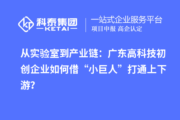從實驗室到產業鏈：廣東高科技初創企業如何借“小巨人”打通上下游？