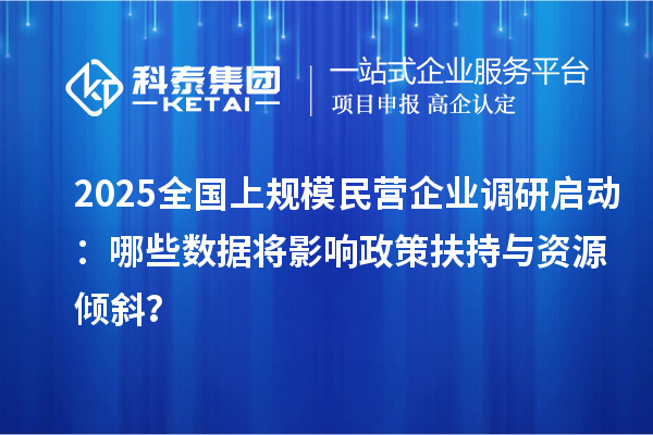 2025全國上規模民營企業調研啟動:哪些數據將影響政策扶持與資源傾斜?