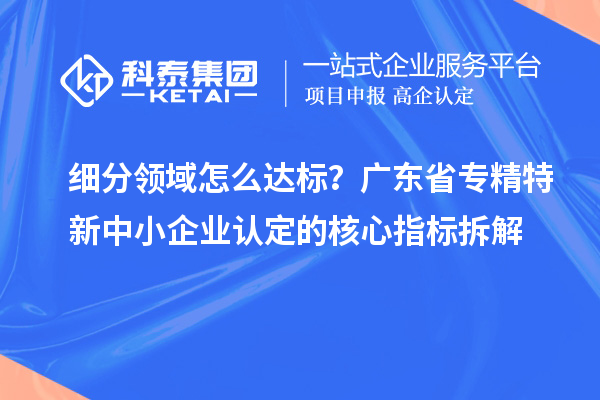 細分領域怎么達標？廣東省專精特新中小企業認定的核心指標拆解