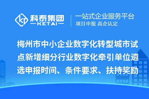 梅州市中小企業數字化轉型城市試點新增細分行業數字化牽引單位遴選申報時間、條件要求、扶持獎勵