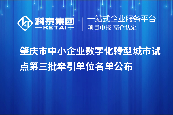 肇慶市中小企業數字化轉型城市試點第三批牽引單位名單公布