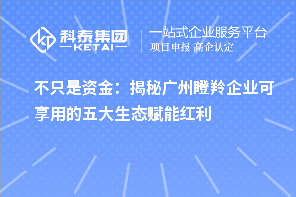 不只是資金：揭秘廣州瞪羚企業可享用的五大生態賦能紅利