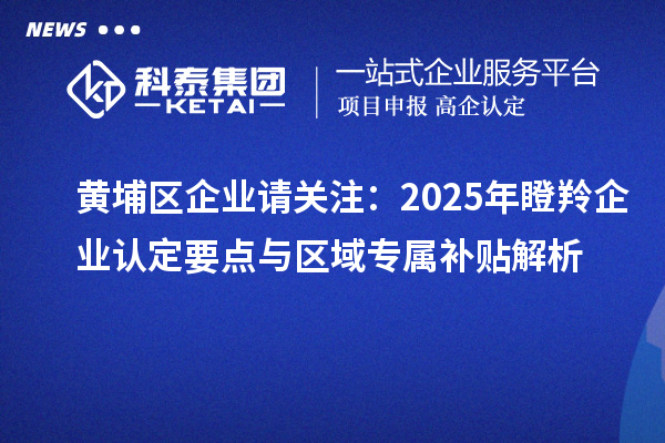黃埔區企業請關注：2025年瞪羚企業認定要點與區域專屬補貼解析
