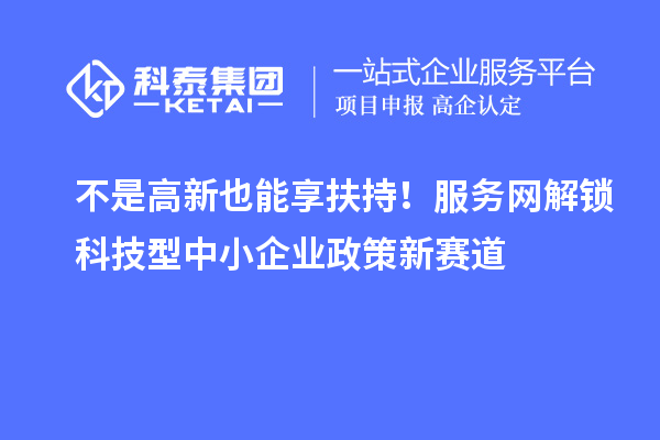 不是高新也能享扶持！服務(wù)網(wǎng)解鎖科技型中小企業(yè)政策新賽道