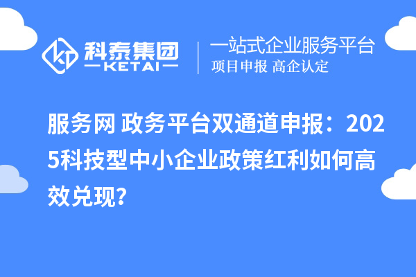 服務(wù)網(wǎng)+政務(wù)平臺雙通道申報：2025科技型中小企業(yè)政策紅利如何高效兌現(xiàn)？